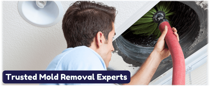 Air Duct Mold Removal in Scottsdale AZ